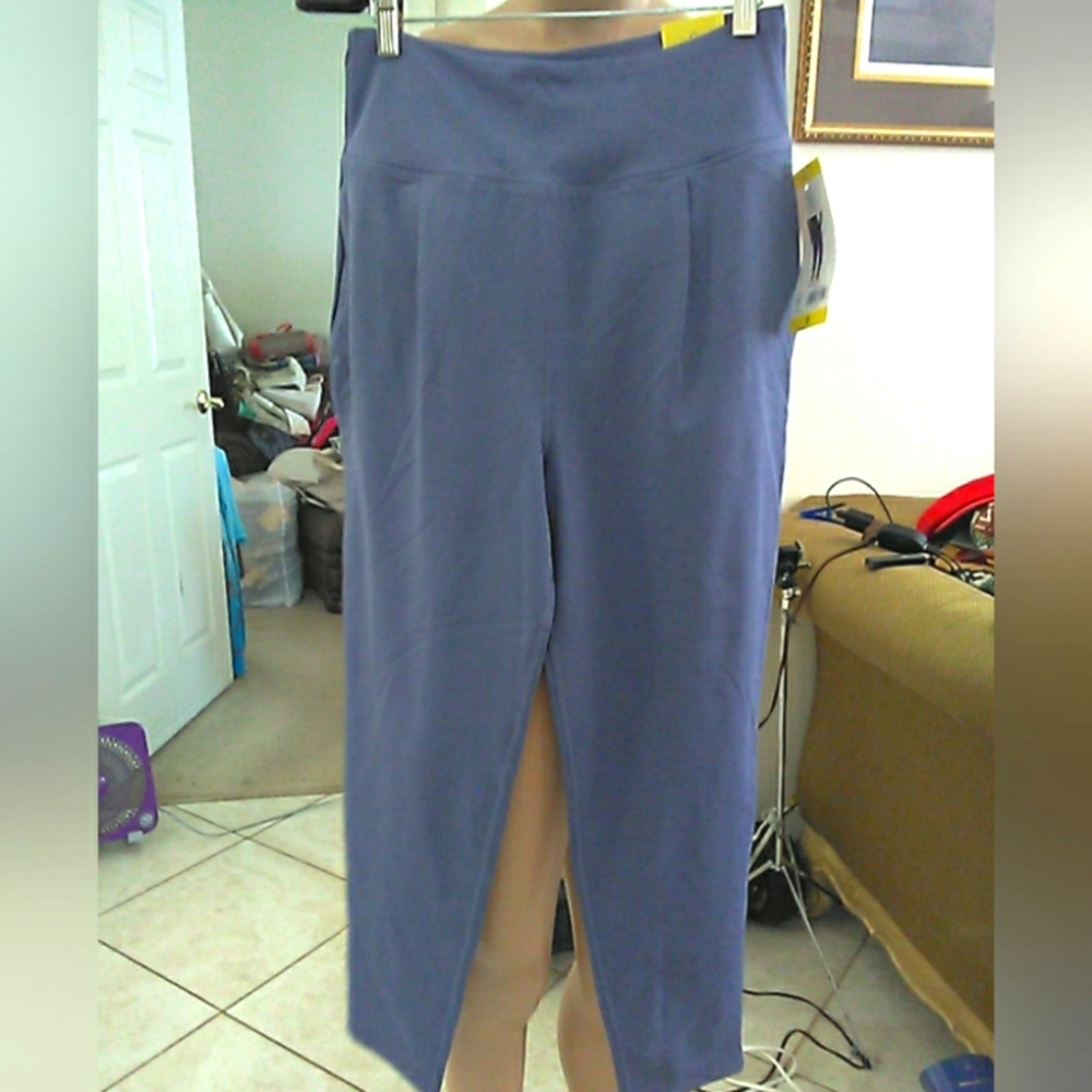 BNWT SAGE LUXE HAREM Elegant BLUISH/ PURPLE PANT SZ. SM PKTS. SINGLE PLEAT